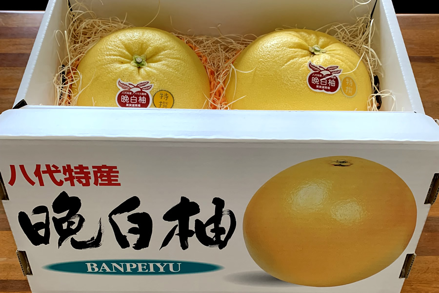 晩白柚2玉入り - 画像 (3)